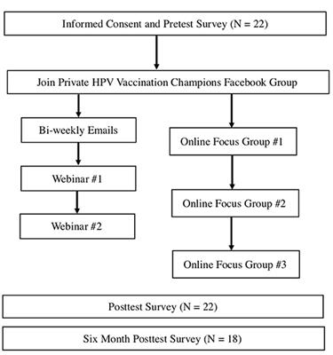 HPV Vaccination Champions: Evaluating a Technology-Mediated Intervention for Parents